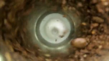 kahve öğütücü ses