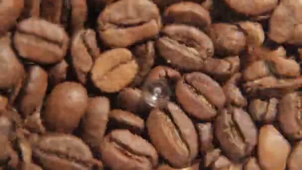Electric coffee grinder works macro time lapse — Stock Video