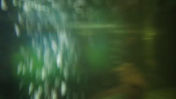 Fond vidéo sous-marin 