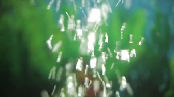 水中ビデオの背景 — ストック動画