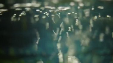 Sualtı video arka plan