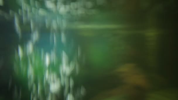 Fond vidéo sous-marin 