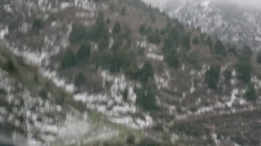 Arabadaki yol Manzaralı