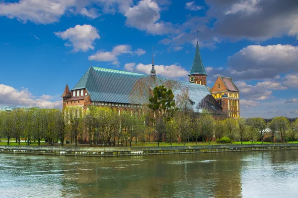 Cathedral in Kaliningrad — Stock Photo, Image