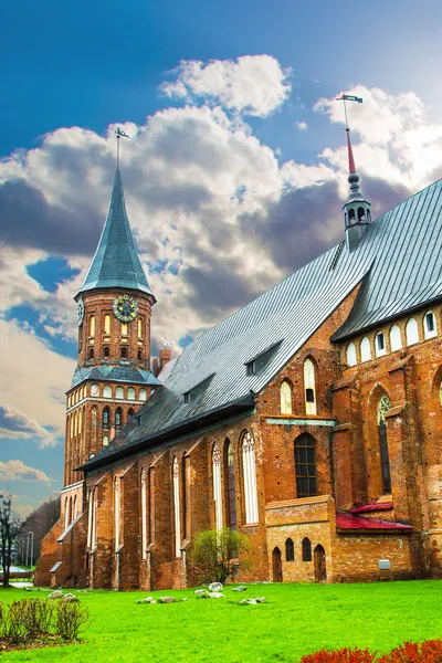 Kaliningrad Katedrali