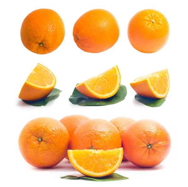 Narancs-gyűjtemény — Stock Fotó