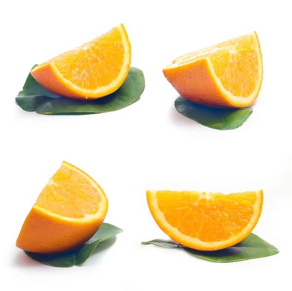 Colección de naranjas — Foto de Stock
