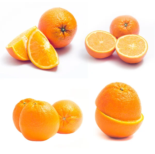 Orangen-Sammlung — Stockfoto
