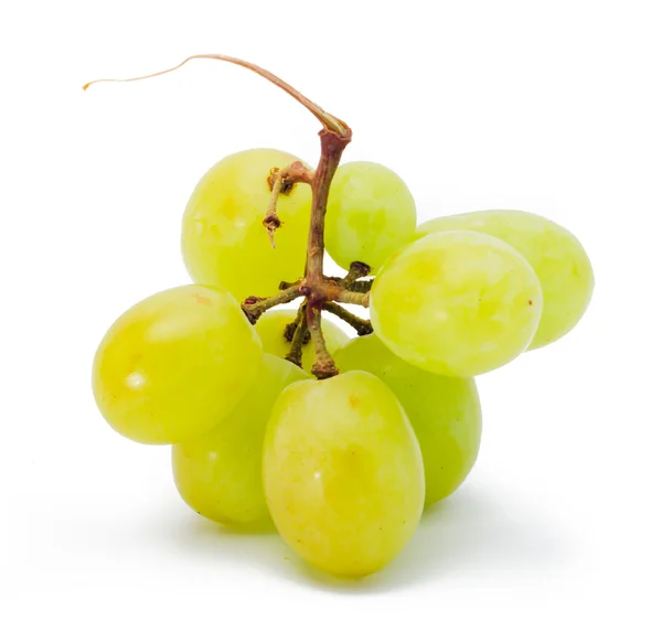 Grapes Isolated on the white — Stok fotoğraf