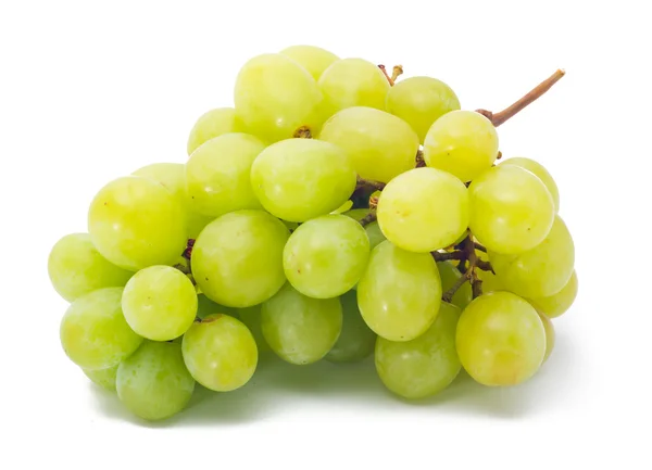 Grapes Isolated on the white — Stok fotoğraf