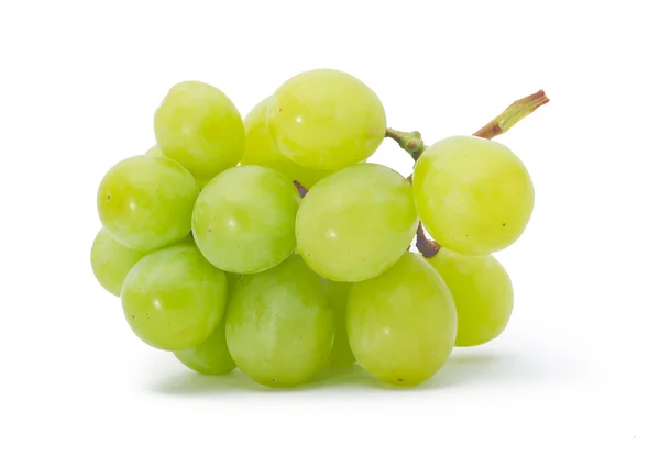 Grapes Isolated on the white — Stok fotoğraf