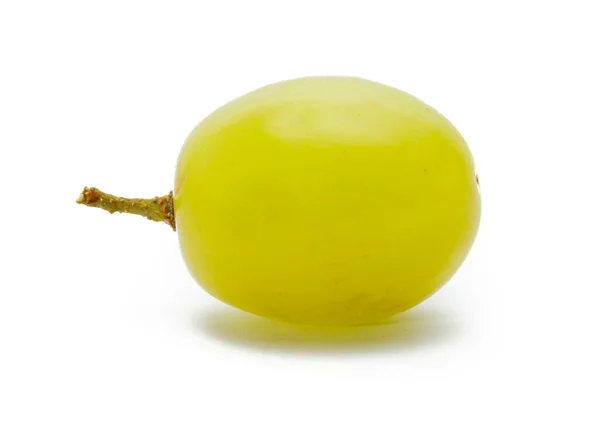 A fehér szőlő elkülönített — Stock Fotó