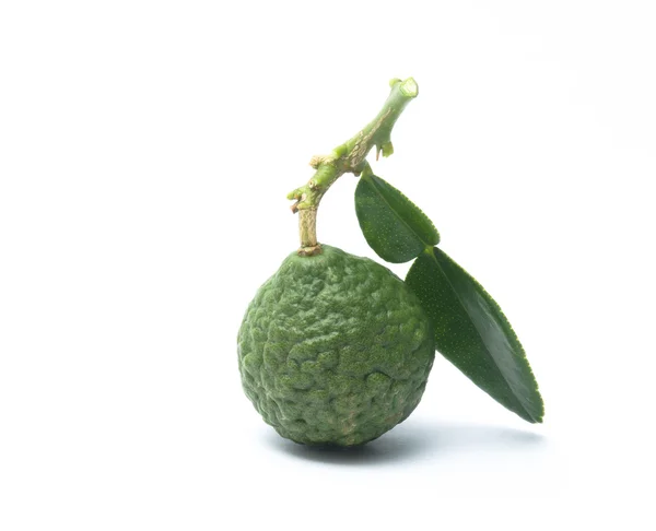 Lime on a white background — Stock Photo, Image