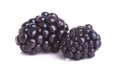 Beyaz bir arka plan üzerinde izole blackberry