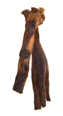 arka plan üzerinde kurutulmuş ginseng