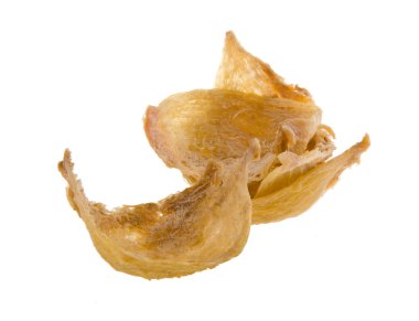 Kuş yuvası. Yenilebilir kuş yuvası yakın çekim