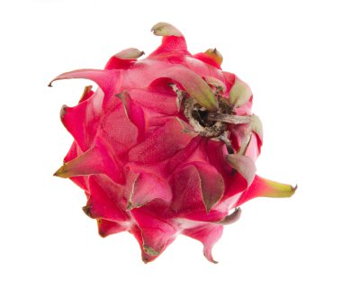 dragon meyve özgeçmişlerine izole