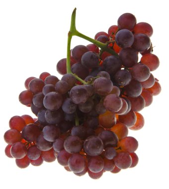 üzüm. arka plan üzerinde üzüm.