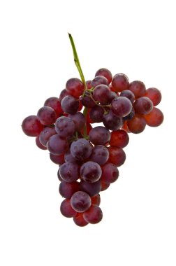 üzüm. arka plan üzerinde üzüm.