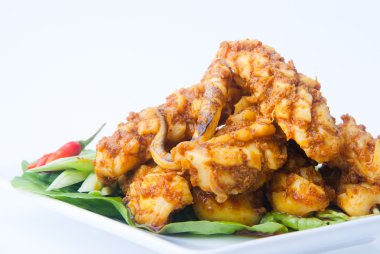 blackground üzerinde Squid köri