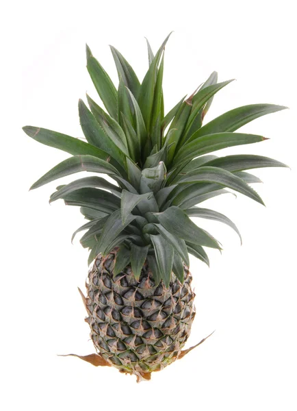 Pineapple, Pineapple tropical fruit on background — Stock Photo, Image