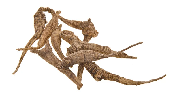 Arka plan üzerinde kurutulmuş ginseng — Stok fotoğraf