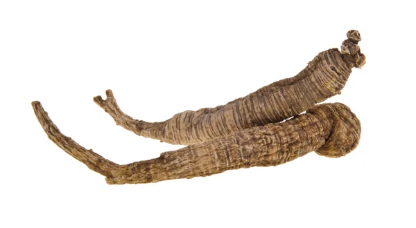 Ginseng seco en el fondo — Foto de Stock