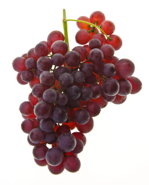 Uvas. uvas en el fondo . — Foto de Stock