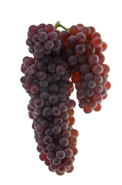 Grapes. grapes on background. — Stock Photo, Image