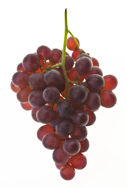 Winogrona. winogrona na tle. — Zdjęcie stockowe