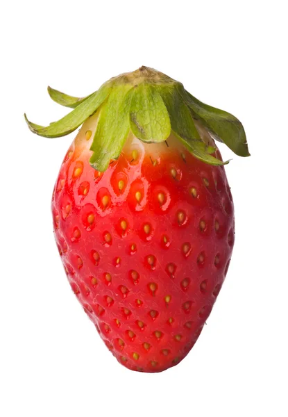 Erdbeere, frische rote Erdbeere auf Hintergrund — Stockfoto