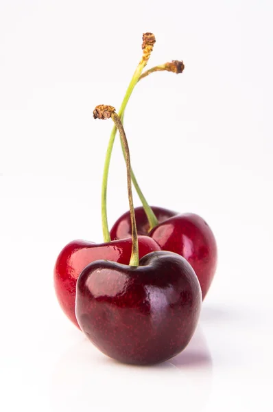 Baya de cereza fresca en el fondo — Foto de Stock