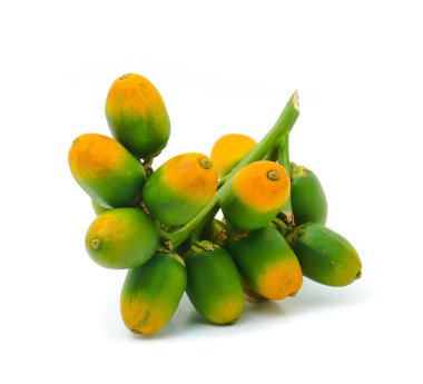 tembul fındık veya areca beyaz bir arka plan üzerinde izole somun.