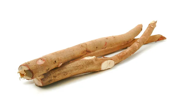 Tongkat Ali, doğanın cinsel uyarıcısı.