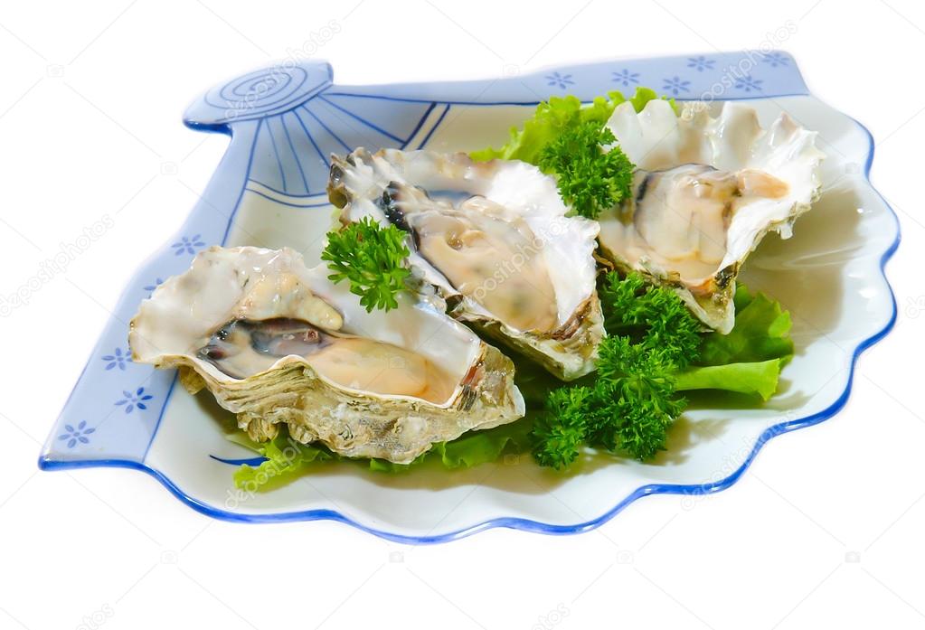 Oysters on a white background