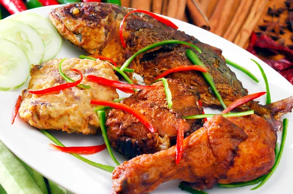 Asiatisches Essen und Gegrilltes malaysia — Stockfoto