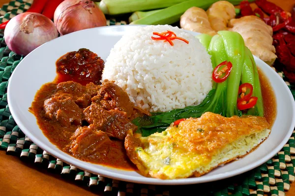 Asia alimentos y arroz malaysia — Foto de Stock