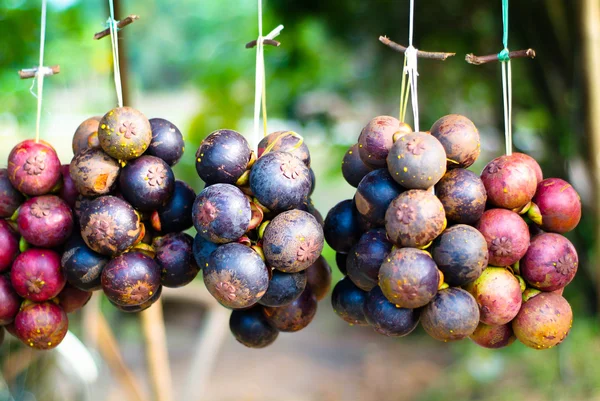 Mangosteen is the Queen of Fruits — Stock Photo, Image