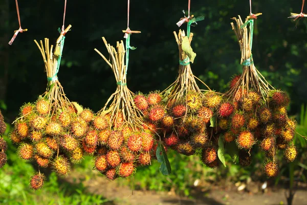 Rambutan or hairy fruit, popular fruit on summer — Stock Photo, Image