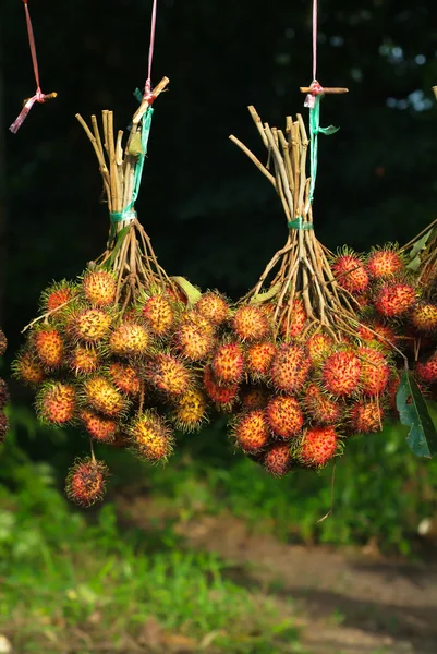 ランブータンや毛深い果物、夏に人気の果物 — ストック写真