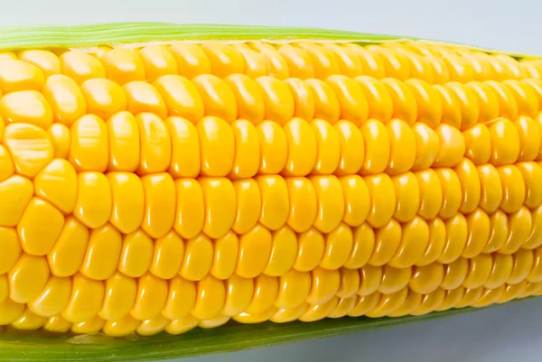 Yellow sweet corn on the background — Stock Photo, Image