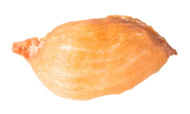 Kuş yuvası. Asya sağlık gıda