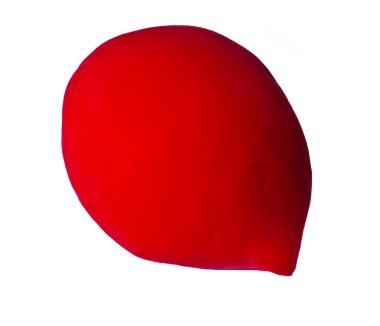 Kurumuş meyveler beyazda izole edilmiş.