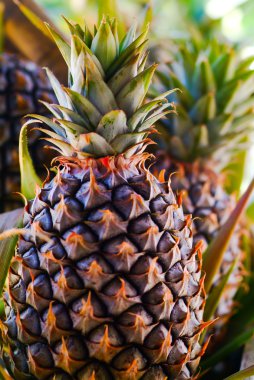 ananas markette birlikte.