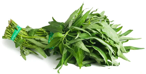 Zöldség. friss zöldség ázsiai háttér — Stock Fotó