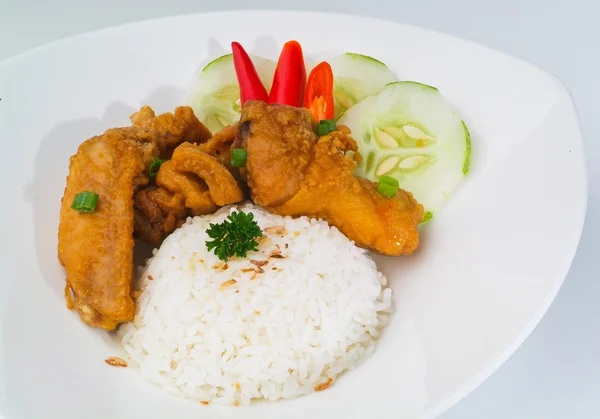 Kylling med ris og grønnsaker – stockfoto