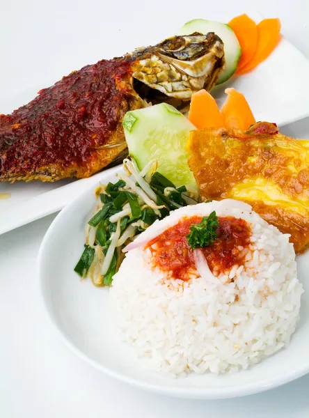 Asia food and rice malaysia — Stock Photo, Image