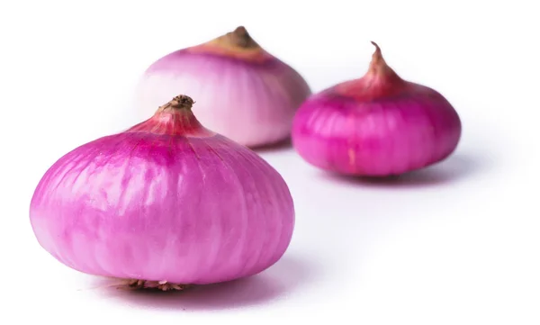 Red onion on background — Stock Photo, Image