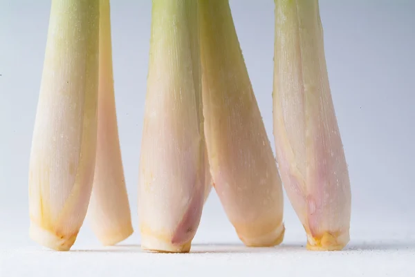 Citronová tráva na bílém pozadí — Stock fotografie