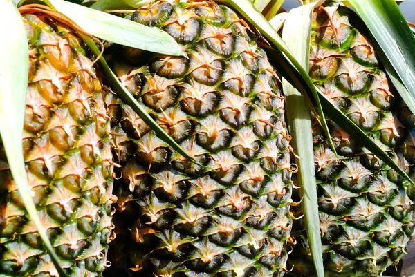 Pineapple texture fresh ripe pineapple background — Stock Photo, Image